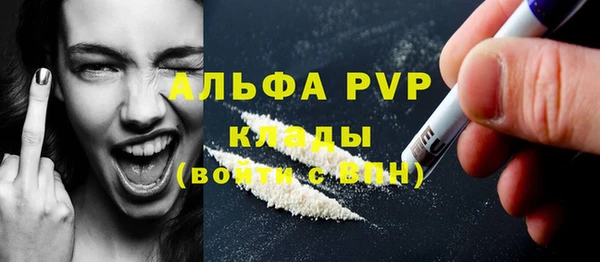 дживик Новодвинск