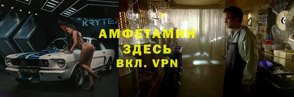 индика Новокубанск