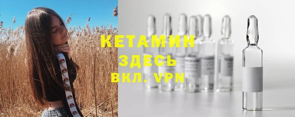 индика Новокубанск