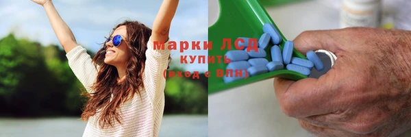 дживик Новодвинск