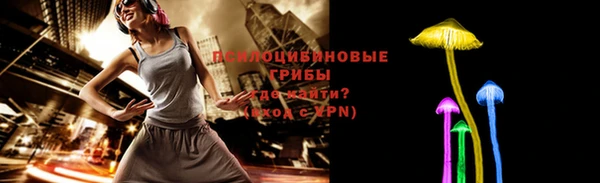 ALPHA PVP Новозыбков