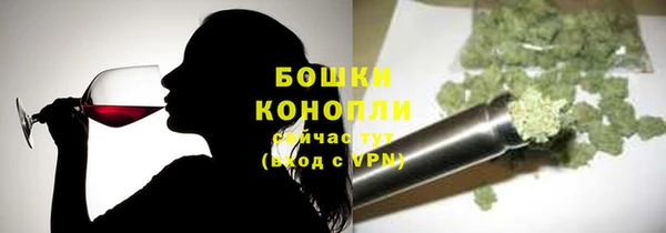индика Новокубанск