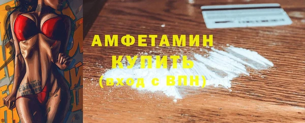 индика Новокубанск