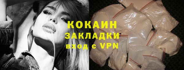 индика Новокубанск